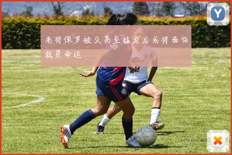 老将保罗被交易至猛龙后或将面临裁员命运